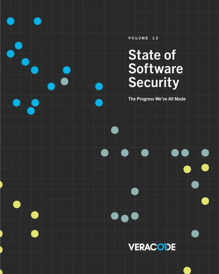 State of Software Security, Vol. 12